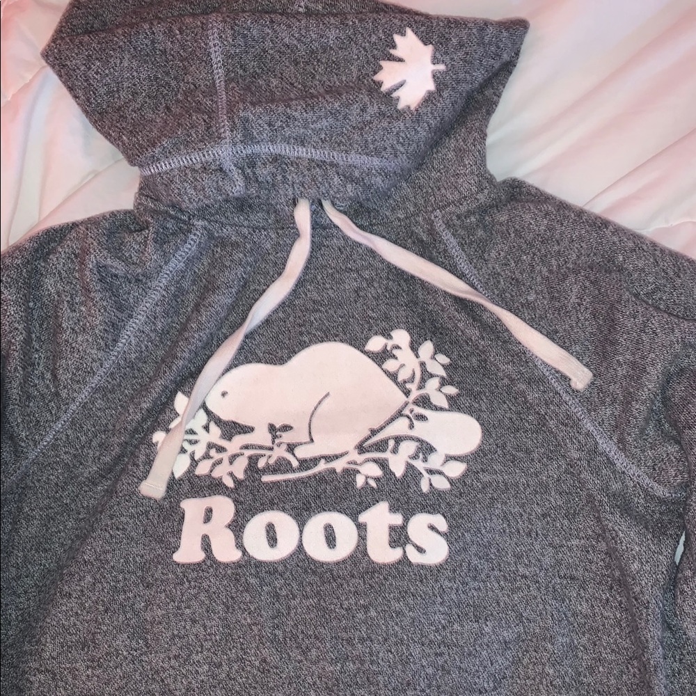 roots salt and pepper hoodie